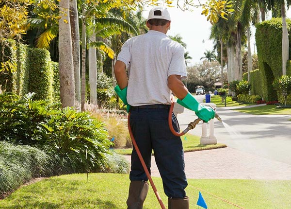 About Egnar CO Pest Control